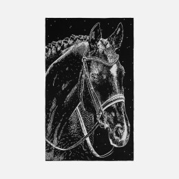 Разное Набор «Шевалье»