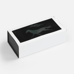 сделано в России Коробка «Динамика успеха»