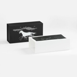 сделано в России Коробка «Динамика успеха»