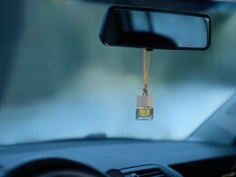 сделано в России Ароматизатор воздуха Flava Deluxe, груша и бергамот