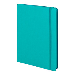 thINKme Бизнес-блокнот "RILY", формат А5, бирюзовый, блок в точку