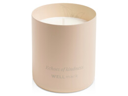 Wellmark Ароматическая свеча Wellmark "Echoes of Kindness"- Ecru бежевый