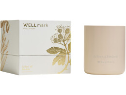 Wellmark Ароматическая свеча Wellmark "Echoes of Kindness"- Ecru бежевый