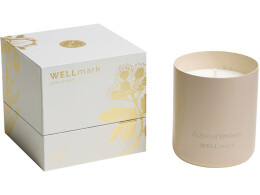 Wellmark Ароматическая свеча Wellmark "Echoes of Kindness"- Ecru бежевый