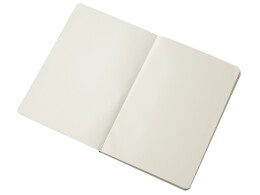 Разное Блокнот в гибкой обложке A5 «Виспи 2.0» в клетку, черный