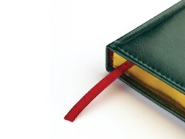 Bruno Visconti Ежедневник А5 датированный «Sidney Nebraska» 2026, зеленый (золотой обрез)