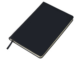 Разное Бизнес-блокнот "С3" софт-тач с магнитом, твердая обложка, 96 листов, черный