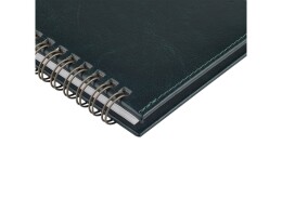Bruno Visconti Планинг ГР. датированный «Sidney Nebraska» 2026, зеленый