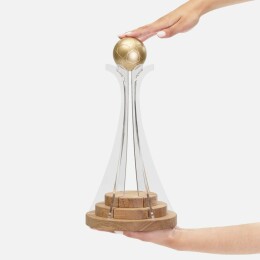 Разное Кубок Everball c 3D-элементами