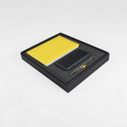 Happy gifts Набор подарочный ZAP 20: ежедневник, ручка и power bank в коробке с ложементом