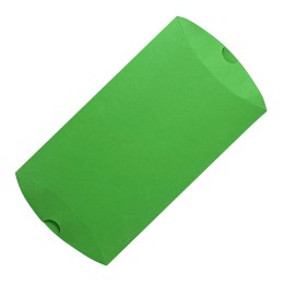 Rusgifts Коробка подарочная PACK; 23*16*4 см; зеленое яблоко