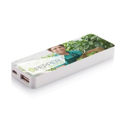 Разное Зарядное устройство, 2500 mAh