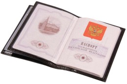 сделано в России Обложка для автодокументов и паспорта Omnia Mea