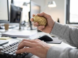 Разное Антистресс «Золотой мозг»