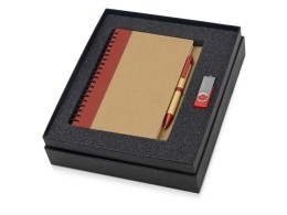 Noname Подарочный набор Essentials с флешкой и блокнотом А5 с ручкой