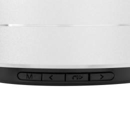 Разное Беспроводная Bluetooth колонка Easy, серебристая