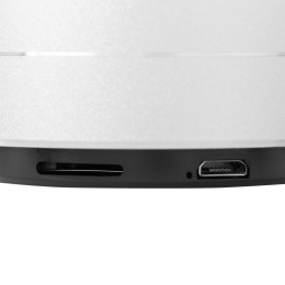 Разное Беспроводная Bluetooth колонка Easy, серебристая
