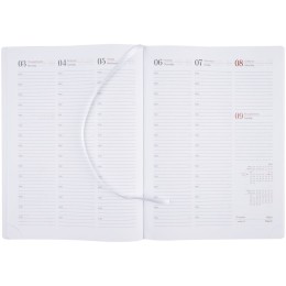 Адъютант Еженедельник Nebraska, датированный, зеленый