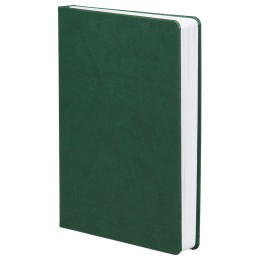 Адъютант Ежедневник Basis, датированный, зеленый