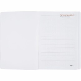 Адъютант Ежедневник Basis, датированный, красный