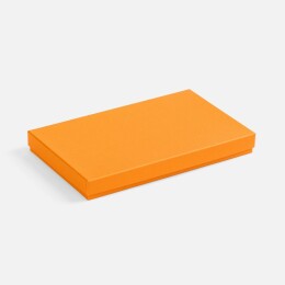 Разное Коробка Horizon, оранжевая