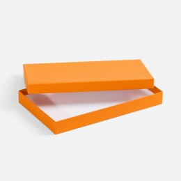 Разное Коробка Horizon, оранжевая