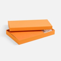 Разное Коробка Horizon, оранжевая