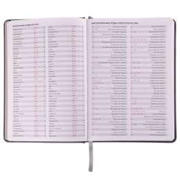 Happy gifts Ежедневник датированный на 2022 год Joy, А5, бордовый, белый блок, серебряный обрез