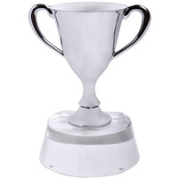 Стела "Кубок победителя" в подарочной упаковке; 13х10х17 см; стекло, металл